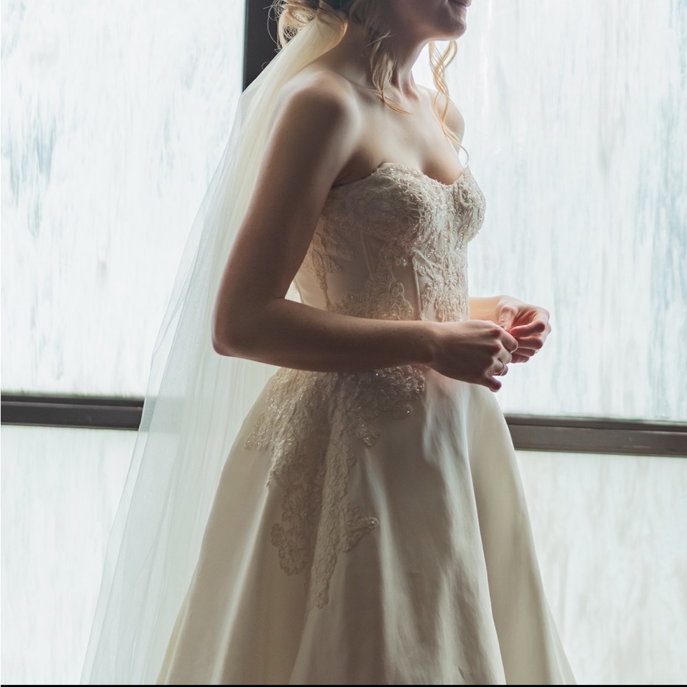Anne Barge 100% silk wedding dress - Picture 15 of 15